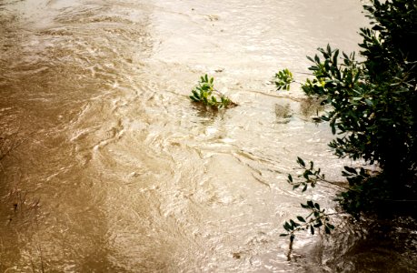 Swirls at high water in Broälven
