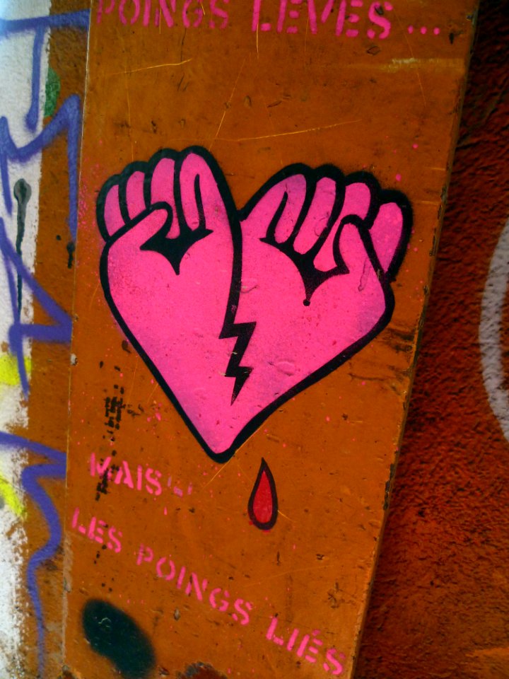 Toulouse - Bergerat Monnoyeur - 20100920 (1)