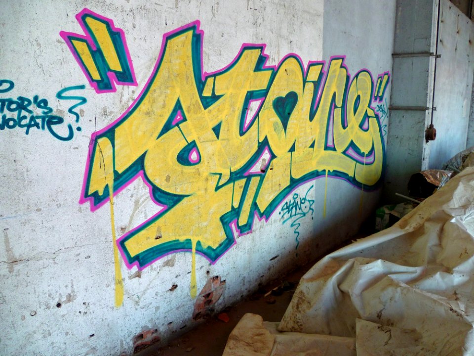 Toulouse - Halles de la cartoucherie - 20101227 (6)