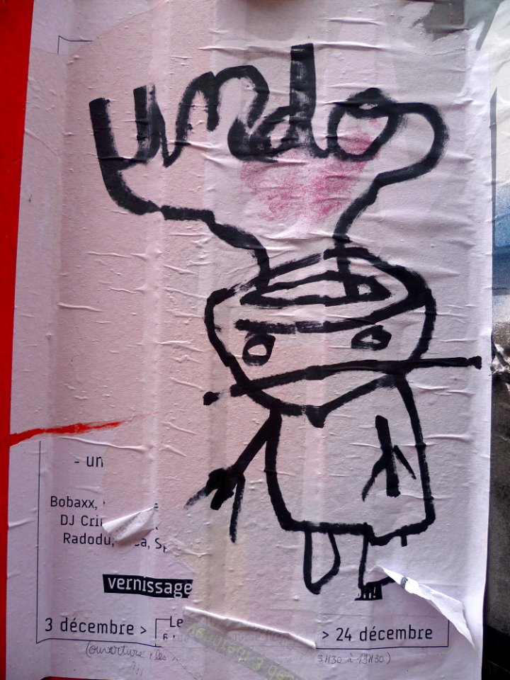 Toulouse - Rue du Canard - 20110130 (2)