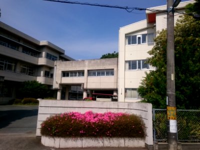 Toyokawa City Sakuragi Elementary School (2018-05-27) 03