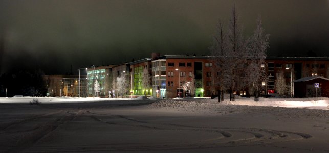 Toppilansaari Oulu 20121229 02