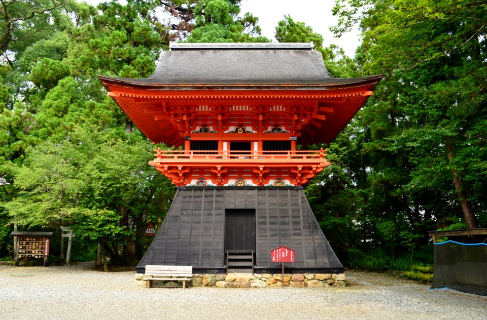 Tosa-jinja korou-2