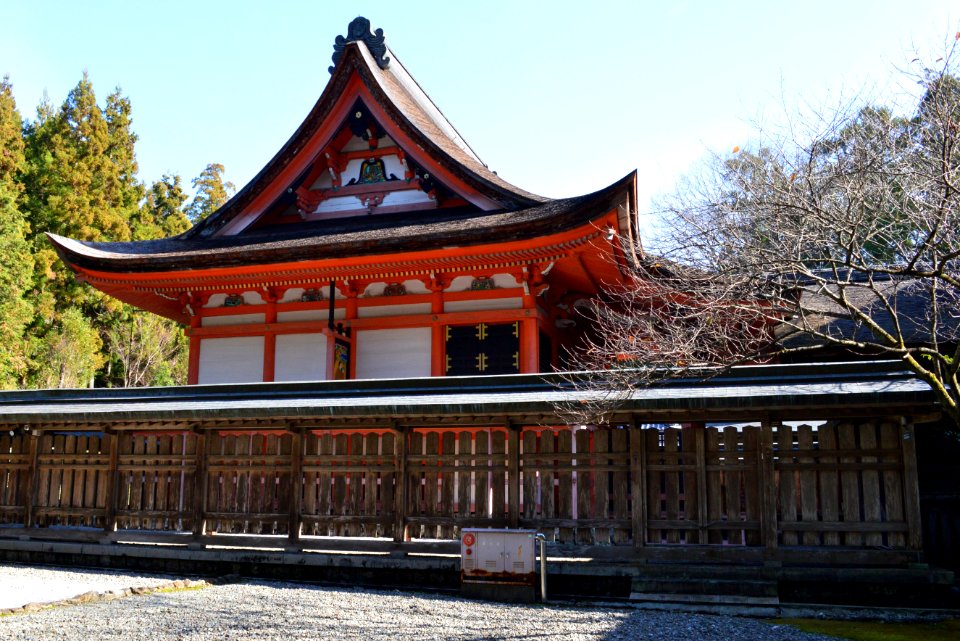 Tosa-jinja honden