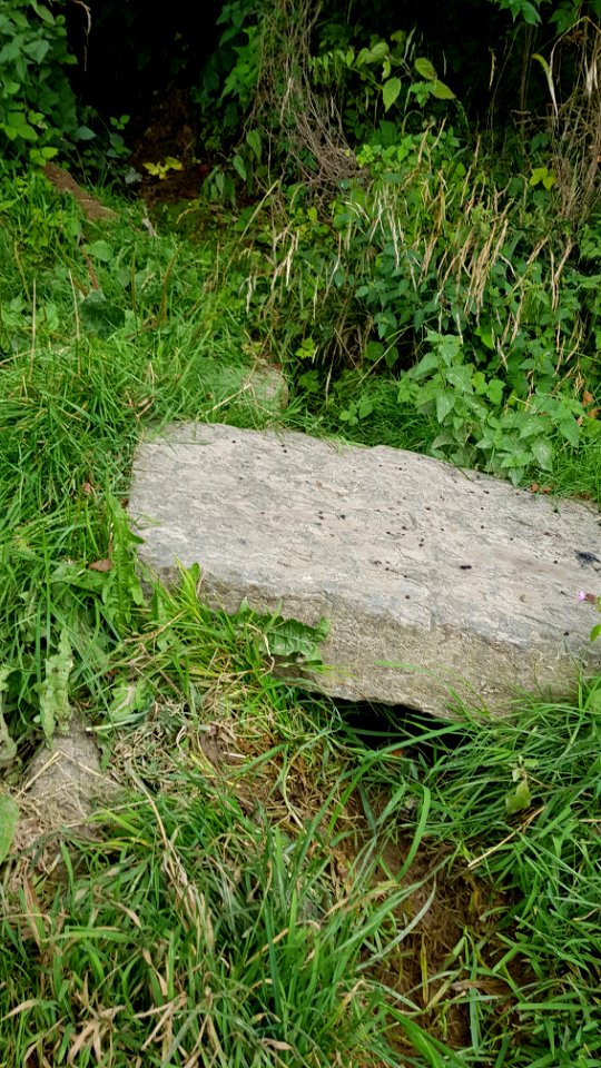 Ubachsberg-bron van de Putberg (4)