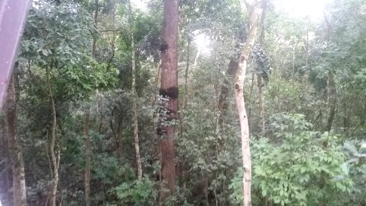 Uganda Virus Research Institute visit on 2 March 2018 - the forest 22