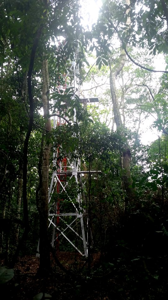 Uganda Virus Research Institute visit on 2 March 2018 - the forest 31