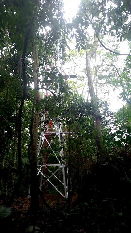 Uganda Virus Research Institute visit on 2 March 2018 - the forest 30