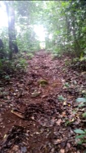 Uganda Virus Research Institute visit on 2 March 2018 - the forest 32