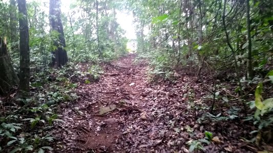 Uganda Virus Research Institute visit on 2 March 2018 - the forest 33
