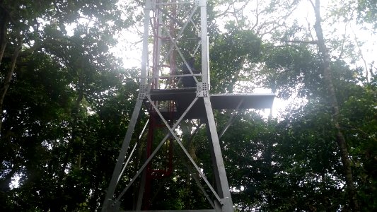 Uganda Virus Research Institute visit on 2 March 2018 - the forest 19