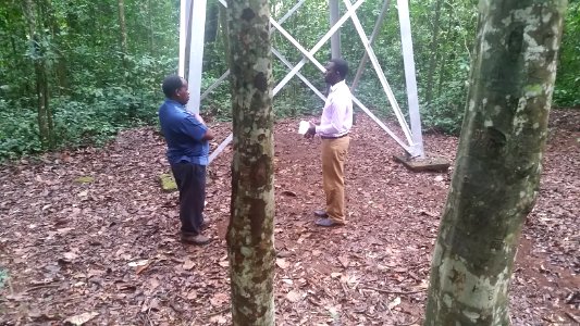 Uganda Virus Research Institute visit on 2 March 2018 - the forest 13
