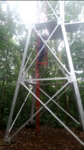 Uganda Virus Research Institute visit on 2 March 2018 - the forest 15