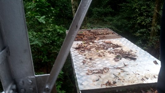 Uganda Virus Research Institute visit on 2 March 2018 - the forest 26