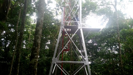 Uganda Virus Research Institute visit on 2 March 2018 - the forest 20