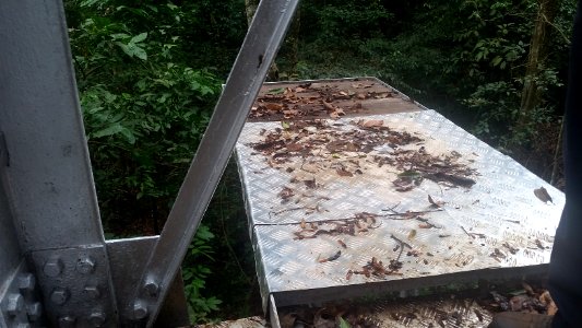Uganda Virus Research Institute visit on 2 March 2018 - the forest 23
