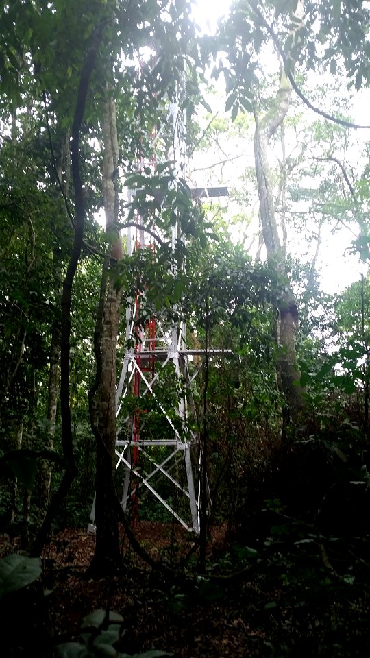 Uganda Virus Research Institute visit on 2 March 2018 - the forest 29