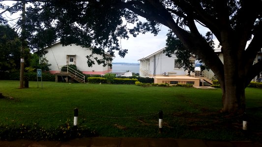 Uganda Virus Research Institute visit on 2 March 2018 - the forest 55
