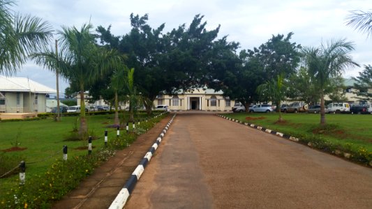 Uganda Virus Research Institute visit on 2 March 2018 - the forest 59