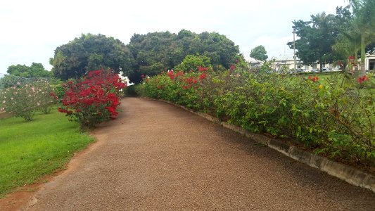 Uganda Virus Research Institute visit on 2 March 2018 - the forest 60