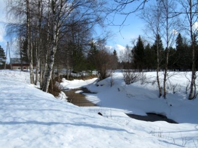 Tyrnävänjoki