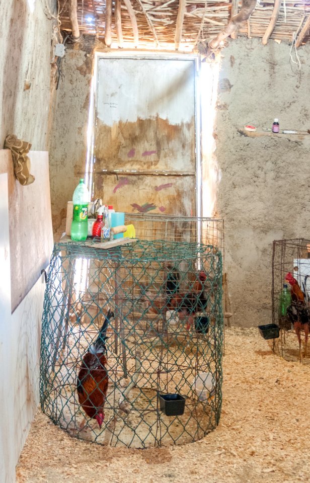 Typical Cock house in Margarita Island
