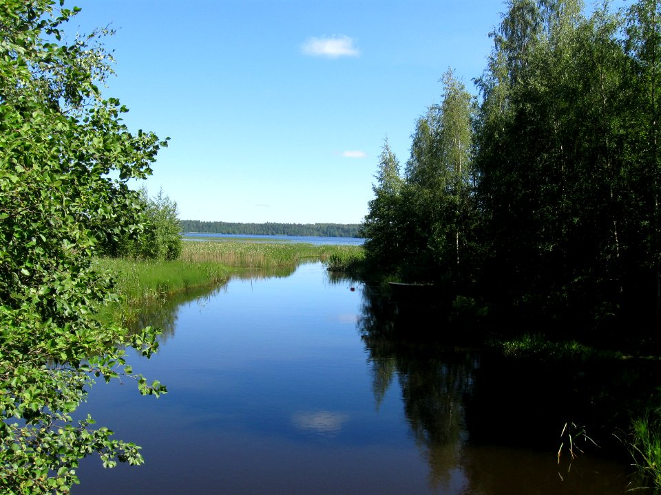 Tyrjänjärvi