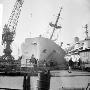 Tyrifjord gekapseisd bij Wilton Fijenoord in Rotterdam, overzicht van het incide, Bestanddeelnr 916-1448