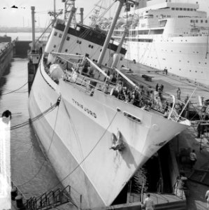 Tyrifjord gekapseisd bij Wilton Fijenoord in Rotterdam, overzicht van het incide, Bestanddeelnr 916-1438
