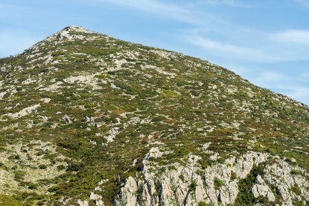 Typical hill in central Greece photo