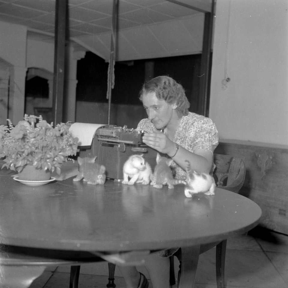 Typiste Op tafel vier kleine poesjes, Bestanddeelnr 255-6984