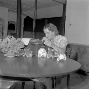 Typiste Op tafel vier kleine poesjes, Bestanddeelnr 255-6984