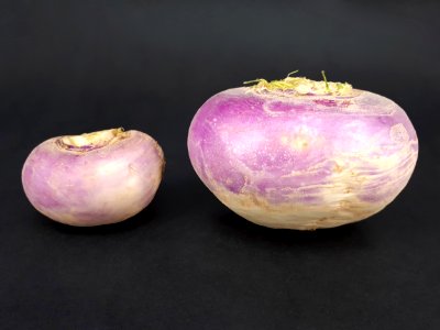 Two turnips 2017 A