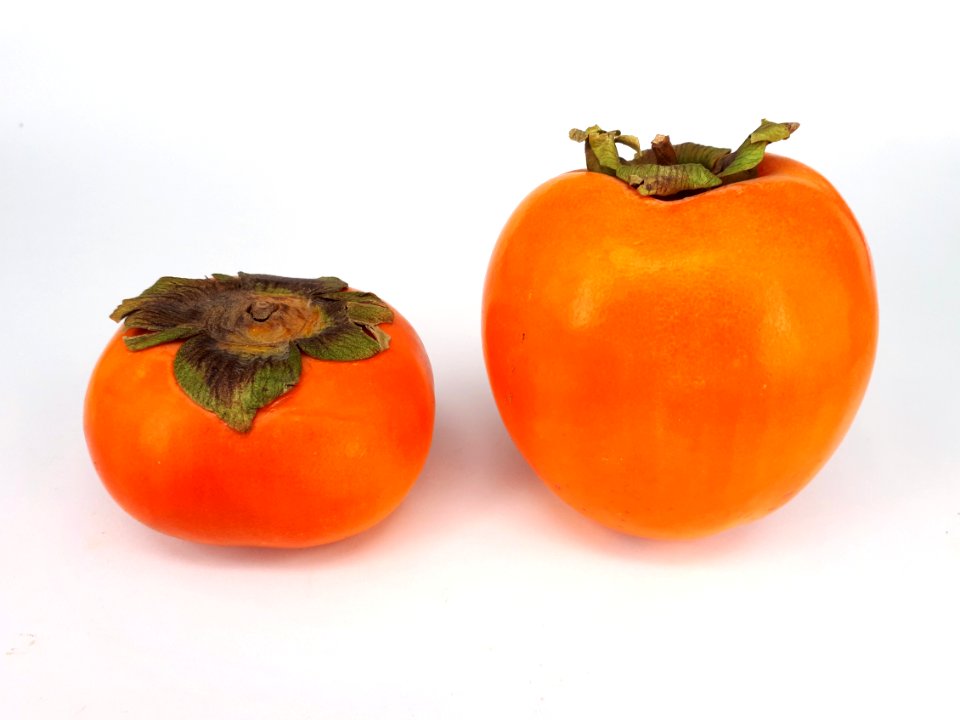 Two persimmons 2017 B