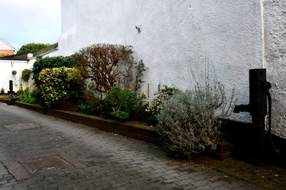 Two Pumps In Courtyard Of No 10