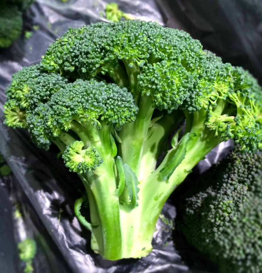 Living supermarket fruits and vegetables