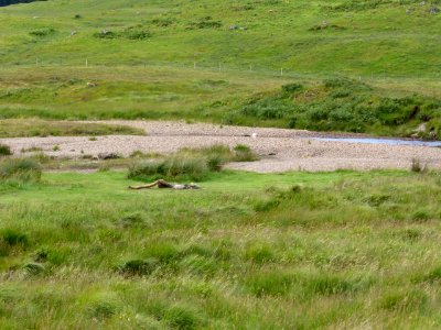 Tyndrum-Bridge-of-Orchy-21