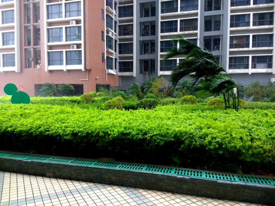 Typhoon Mangkhut in Shajing Subdistrict 1