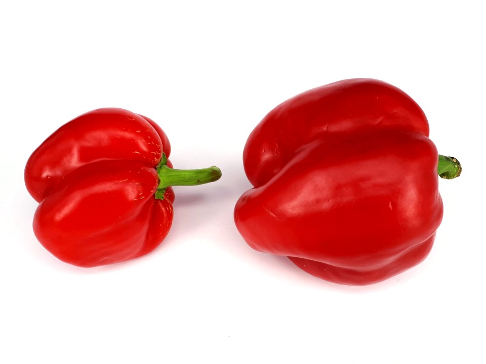 Two red bell peppers 2017 A