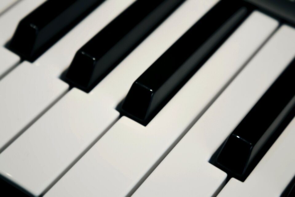 Musical instruments keys show
