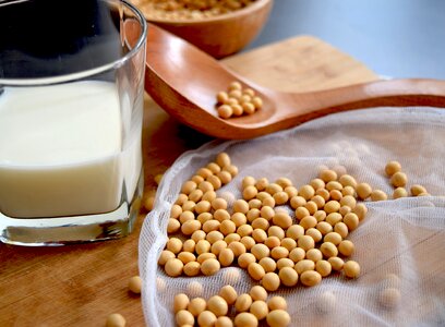 Soy soybean soy-milk photo