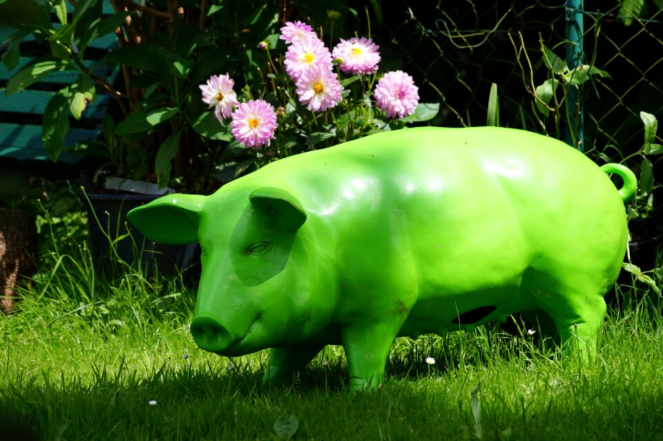 Green nature grass