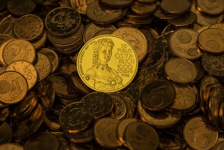 Cash and cash equivalents gold coin sissi