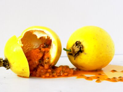 Passion tropical fruit passiflora edulis
