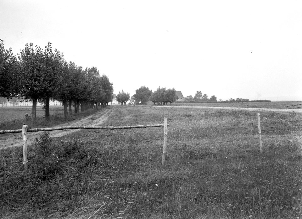 Tweede wereldoorlog, karakteristieke landschappen, boerderijen, Duivense Broek, Bestanddeelnr 160-1350