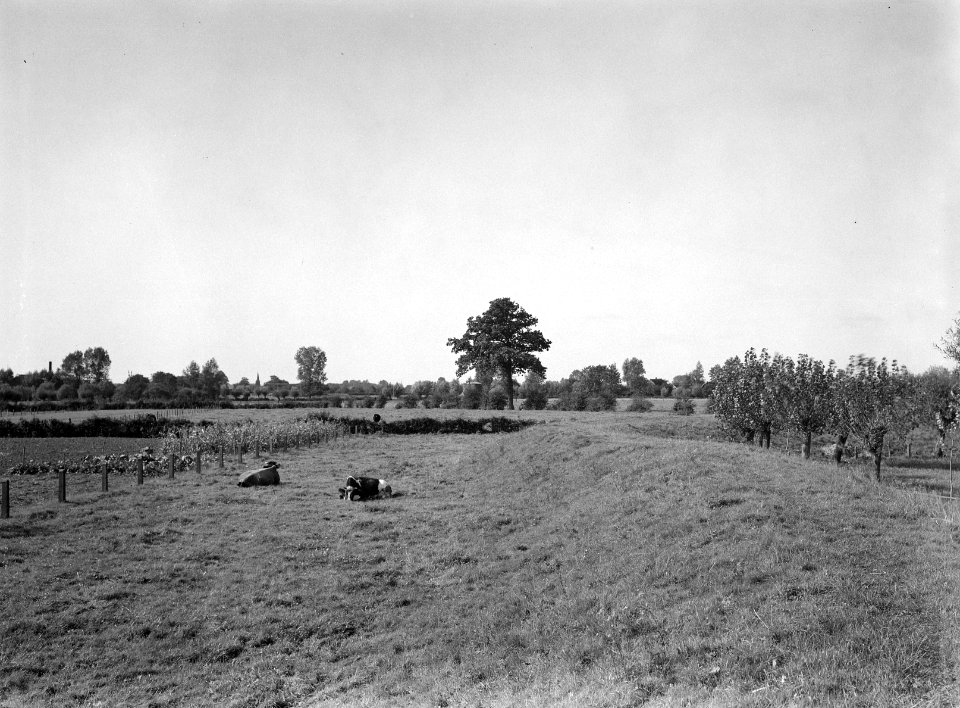 Tweede wereldoorlog, karakteristieke landschappen, heggenlandschappen, Bestanddeelnr 160-1344