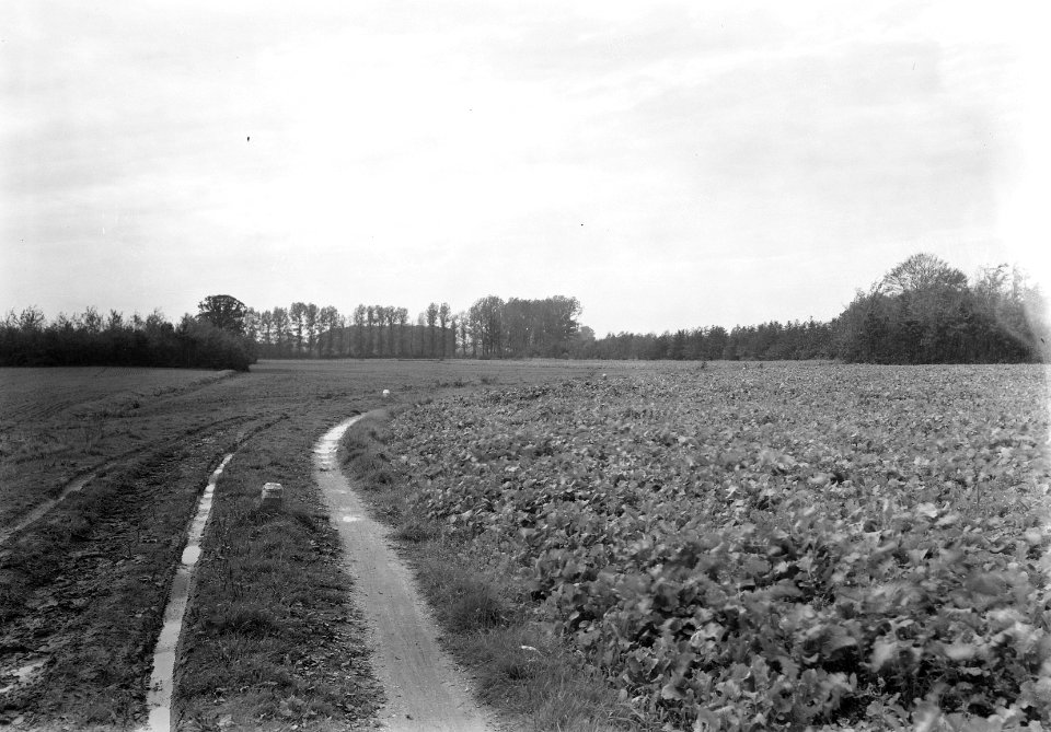 Tweede wereldoorlog, karakteristieke landschappen, laagterrasgronden, duivense b, Bestanddeelnr 160-1347