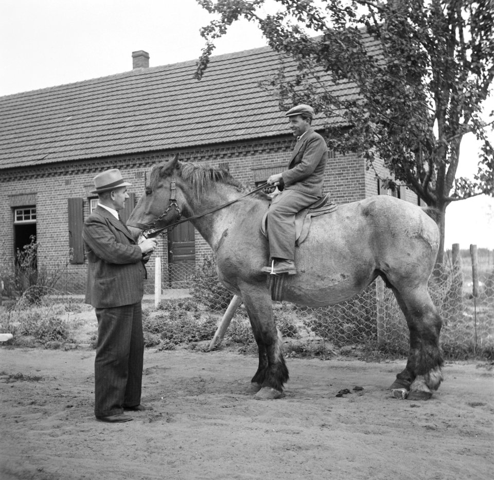 Tweede wereldoorlog, illegaliteit, Bestanddeelnr 900-6268