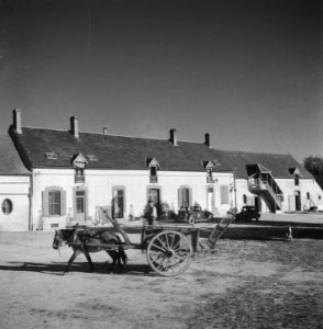 Tweede wereldoorlog, Landbouw, Bestanddeelnr 900-5919