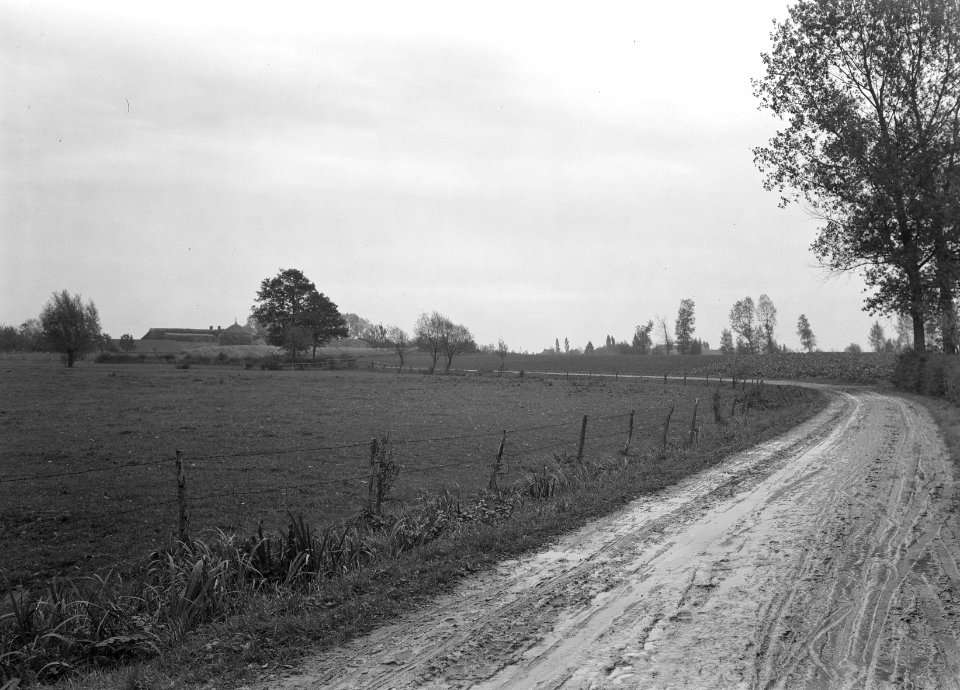 Tweede wereldoorlog, karakteristieke landschappen, rivierkleigebieden, laagterra, Bestanddeelnr 160-1349